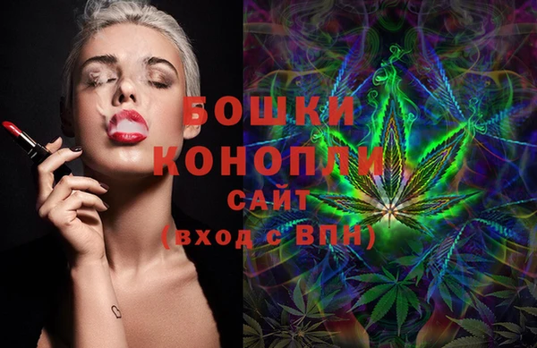 ешки Щучье