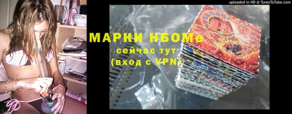шишки Слюдянка