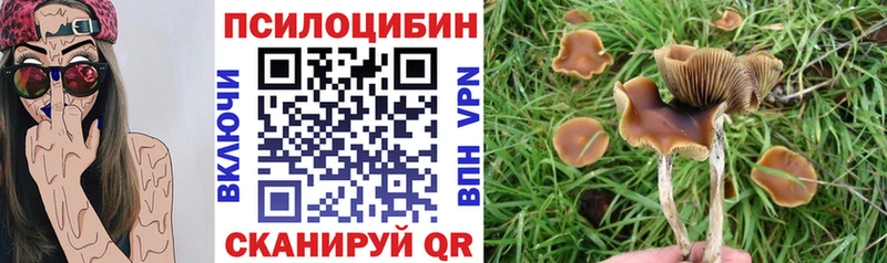 Галлюциногенные грибы MAGIC MUSHROOMS  ОМГ ОМГ ONION  Уяр  наркота 